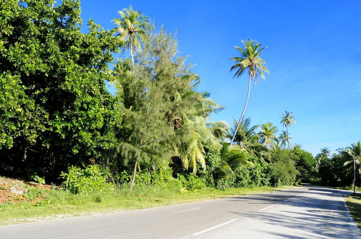 Driving a Small Car Around Punta Cana